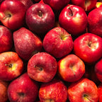 (No Ship to CA, HI, AK) Red Delicious Apple Tree Plant in 3 Gallon Pot, Apple Trees Live Plants Ready to Fruit, Live Fruit Trees for Outdoor Planting