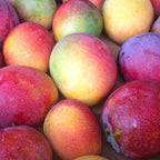 Grafted Valencia Pride Yellow Mango Plant 2.5–3 Ft | Live Mango Fruit Tree | Fast-Growing Tropical Variety for Outdoor Growing & Container Gardening | No Ship to CA,HI,AK