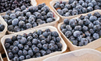 (No Ship to CA,HI,AK) Austin Blueberry Plants Live for Planting - 1 to 2 Feet Tall in 2 Gallon Pot, Fast Growing Blueberries Fruit Trees Live Plants for Patio and Garden