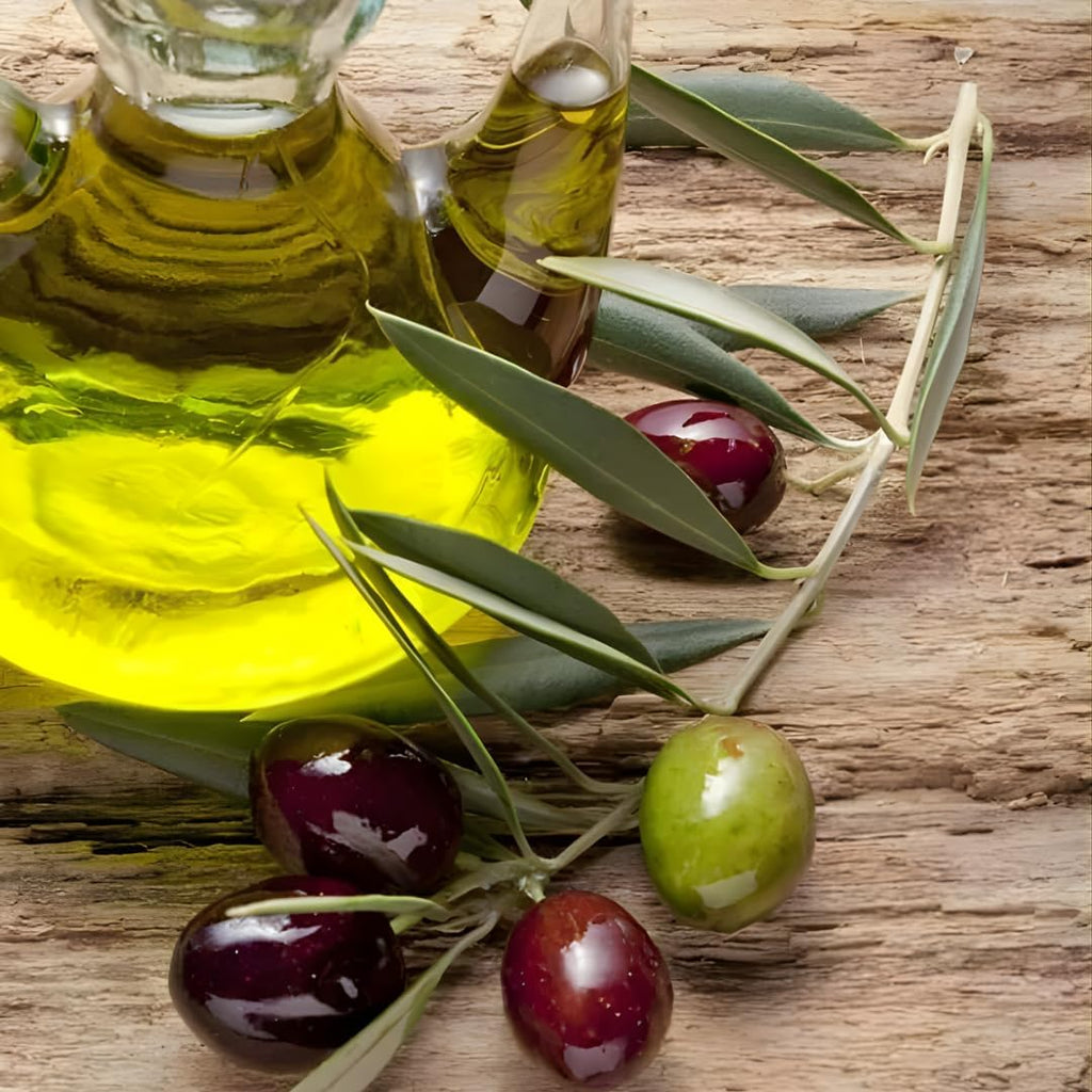 Arbequina Olive Tree Live Plant 2.5–3 Ft| Easy-Grow Olive Variety for Home & Garden | No Ship to CA,HI,AK