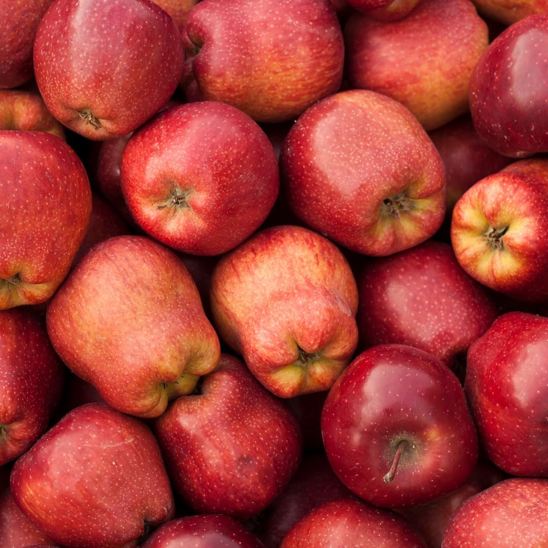 (No Ship to CA, HI, AK) Sweet Red Delicious Apple Plant Live, 3 Gallon Apple Tree, Fruit Trees Live Plants Ready to Fruit, Live Fruit Trees for Outdoor Planting
