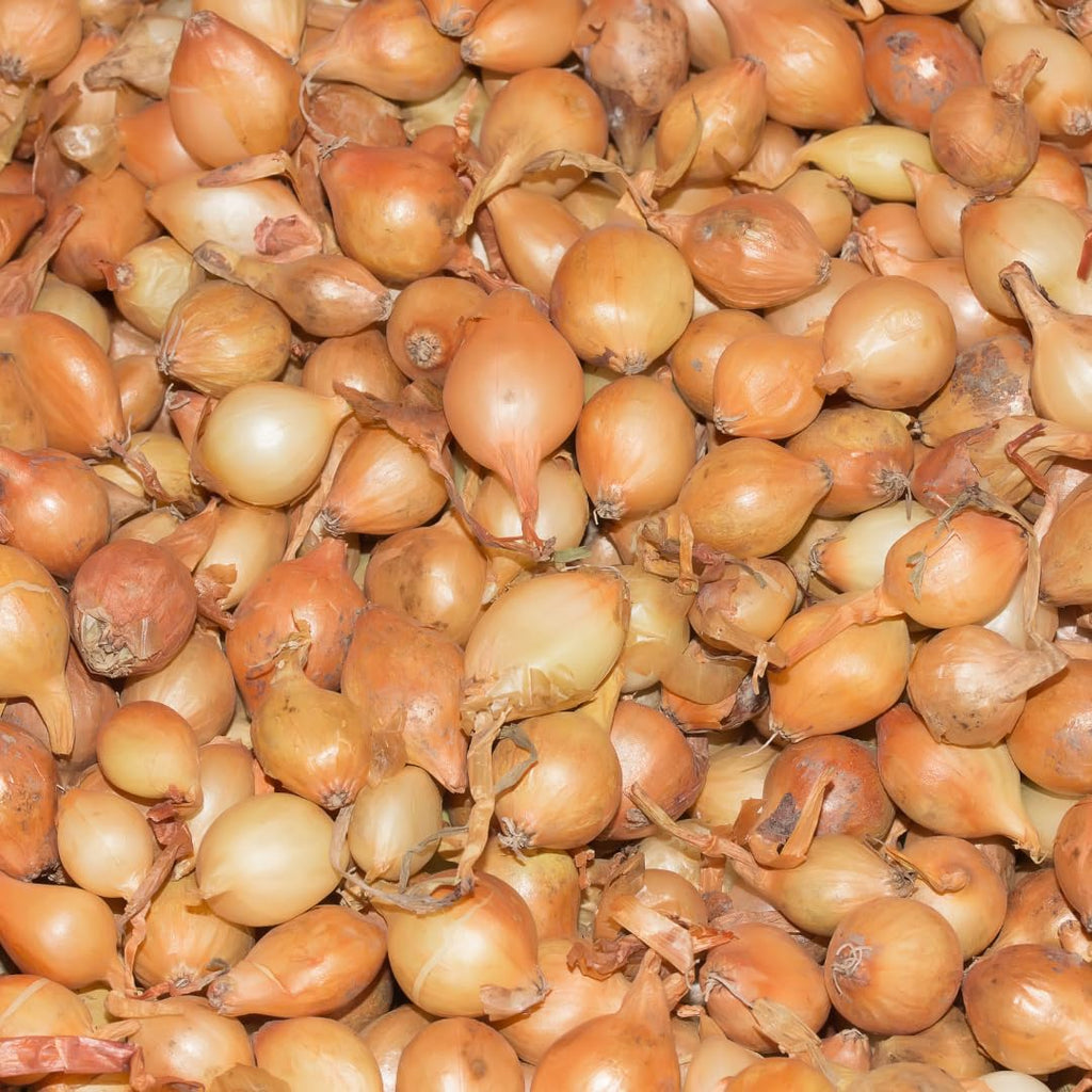 100 Red Onion Bulbs for Planting, Non-GMO, High Yield Onion Sets, Fast-Growing Vegetable Bulbs for Outdoor Gardens, Raised Beds & Containers