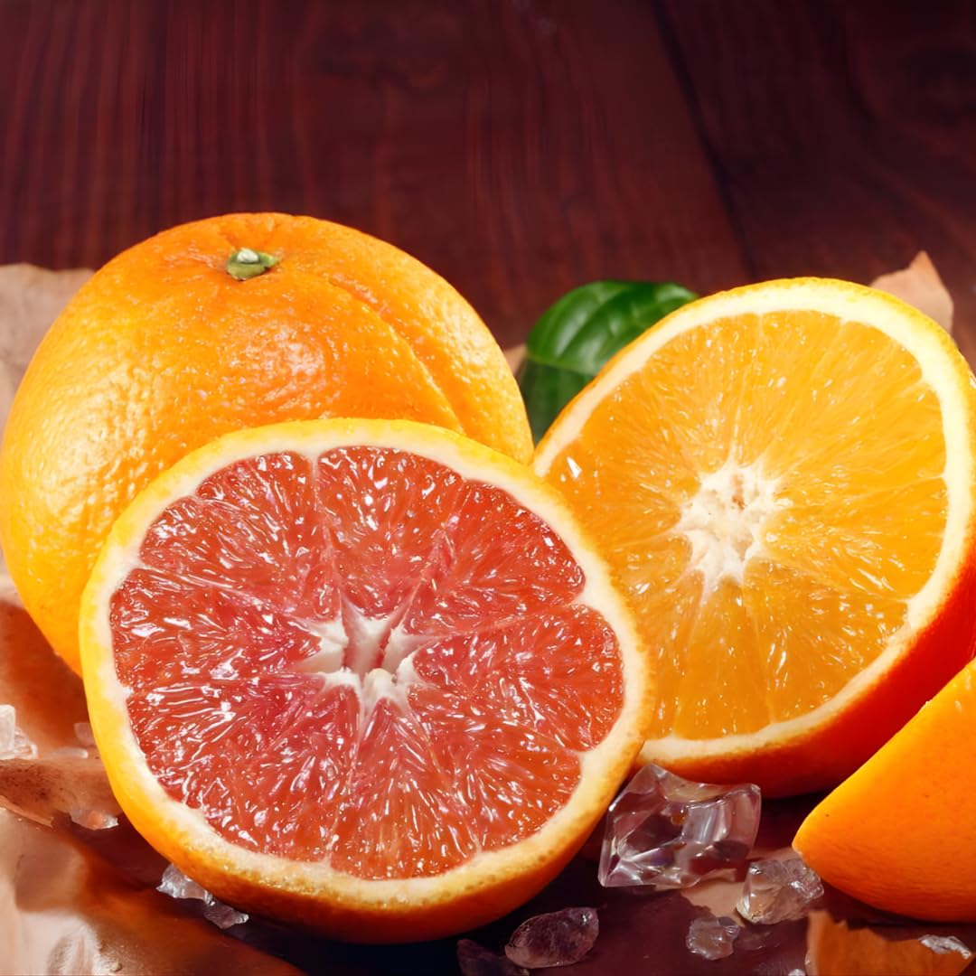 (No Ship to CA,HI,AK) Hamlin Orange Tree for Planting | 1 Gallon Live Citrus Plant | Easy-Grow Edible Fruit Tree for Home Gardens & Patios