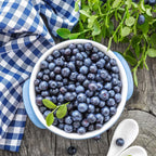 (No Ship to CA, HI, AK) Sweet Blue Berry Live for Planting - 1 to 2 Feet Live Blueberries Plants in 1 Gallon Pot, Perfect for Yard Landscape and Containers