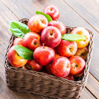 (No Ship to CA, HI, AK) Apple Tree Live Plant in 3 Gallon Pot, Fast Growing Zestar Apple Trees Live Plants Ready to Fruit, Perfect for Home Backyard and Garden