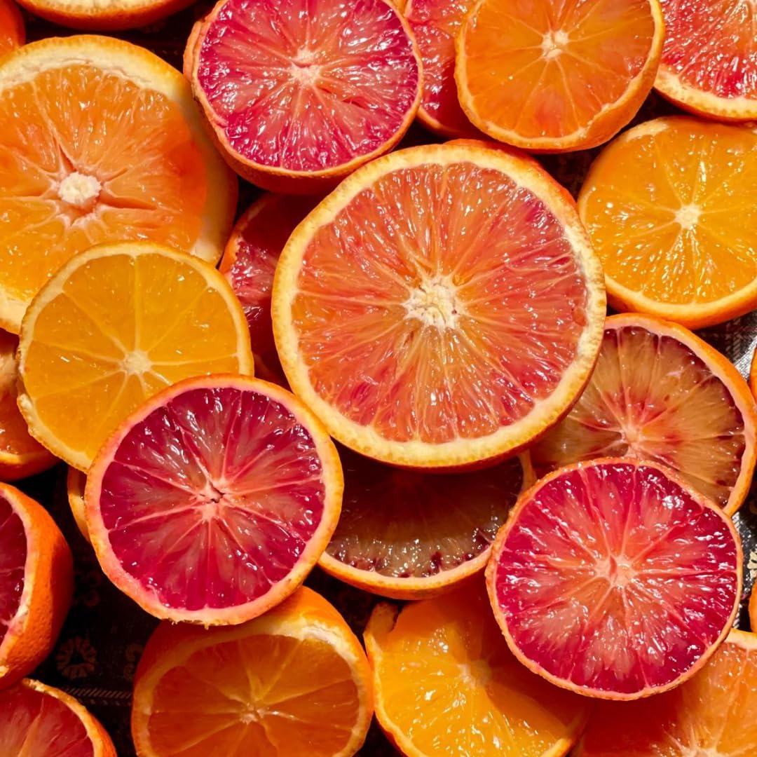 (No Ship to CA,HI,AK) Hamlin Orange Trees Live Plants| 1 Gallon Live Potted Citrus Plant | Sweet Juicy Fruit Tree for Indoor & Outdoor Spaces