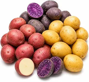 Seed Potatoes for Planting, Yukon Gold - Red - Purple Potatoes Seed, Mixed Color Potato Seeds, 2 Lbs, Non-GMO, Easy to Grow for Backyard Gardens, Containers