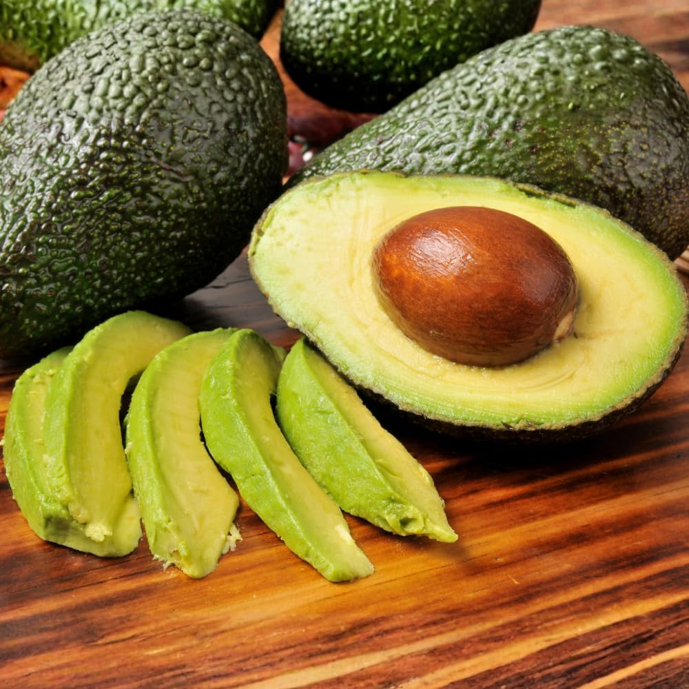 (No Ship to CA,HI,AK) Avocado Live Fruit Tree, 3 Gallon Pot, Vigorous Evergreen Plant for Edible Landscapes, Sturdy Subtropical Shade Tree for Creamy Harvests & Lush Green Foliage