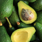 Avocado Tree Live Plant, 3 Gallons Pot, Vigorous Evergreen Shade Tree for Backyard Gardens & Orchard Planting, Grow Delicious Creamy Avocados at Home (No Ship to CA, HI, AK)