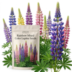 150 Pcs Lupine Seeds for Planting Outdoors, Rainbow Mix Heirloom, Vigorous Tall Flowers Yielding Striking Blooms for Backyards, Easy to Care Decor