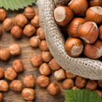 (No Ship to CA,HI,AK) Hazelnut Tree Live Plant, 2-3 Ft Tall in 3 Gallons Pot, Edible Nut Tree for Backyard Planting, Easy to Grow for Beginners
