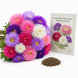 200 Pcs Mix Crego Aster Seeds for Planting, Fast Growing, Easy Care, High-Yielding Double Blooms for Pots, Containers, and Backyard Borders