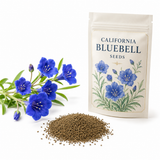500 California Bluebell Seeds, Heirloom, Non-GMO Native Flower Seeds, Charming Wild Bluebell, Ideal for Borders, Patios & Gardens