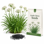 400 Garlic Chives Seeds for Planting Outdoors, Fast Growing, Easy to Grow, Cold Hardy Vegetable Seeds, Perfect Companion Plant for Garden Beds