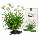 400 Garlic Chives Seeds for Planting Outdoors, Fast Growing, Easy to Grow, Cold Hardy Vegetable Seeds, Perfect Companion Plant for Garden Beds