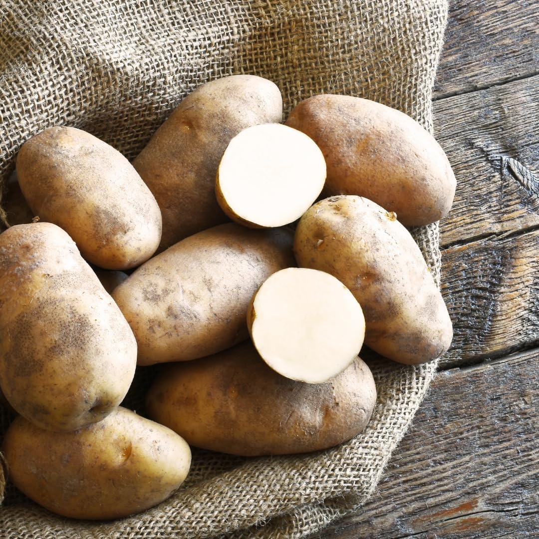 4 Lbs Russet Potato Seeds for Planting Outdoors, Heirloom Seed Potatoes, Non GMO Vegetable Seeds