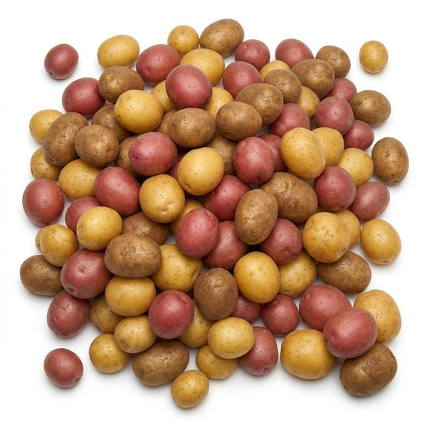 Yukon Gold Seed Potatoes, 2 Lbs, Non GMO, Easy To Grow, Heirloom Potato Seeds for Planting Outdoors