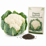150 Snowball Y Improved Cauliflower Seeds, Non GMO, Cold Hardy, Fast Growing Vegetable Seeds, for Fall & Spring Gardens