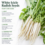 600 Pcs White Icicle Radish Seeds for Planting, Non GMO, High-Yield, Long White Radish Vegetable Seeds for Backyard Gardening