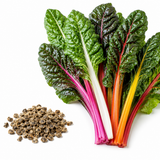 50 Pcs Rainbow Swiss Chard Seeds for Planting, Non-GMO, Fast Growing Multi-Color Vegetable Seeds, Leafy Greens for Home Gardens