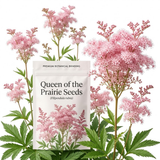 75 Pcs Queen of the Prairie Seeds for Planting, Cold-Hardy Non-GMO Floral Blooms for Outdoor Gardens, Sturdy Growth