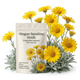 300 Pcs Oregon Sunshine Seeds, Non-GMO Heirloom Flowers for Gardens, Vigorous Growth, Low Maintenance Ground Cover