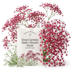 200 Pcs Carmine Baby's Breath Seeds, Heirloom Pink Gypsophila for Planting, Fast-Growing Flowers for Charming Sunlit Gardens & Floral Crafts