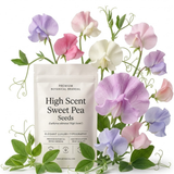 60 Pcs High Scent Sweet Pea Seeds for Planting, Non-GMO Heirloom Vines, Low Maintenance Climbing Décor, Easy to Care