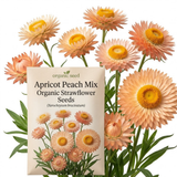 75 Pcs Apricot Peach Strawflower Seeds, Grow Robust Papery Blooms for Edging, Bouquets & Outdoor Landscapes