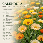 2 Packs Calendula Seeds (100 Seeds), High Germination Pacific Beauty Mix for Planting, Robust Low Maintenance Cut Flowers for Sunlit Yard Borders