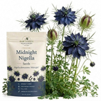 300 Pcs Midnight Nigella Seeds, Non-GMO Heirloom Flowers for Patios, Vigorous Growth Delivering Spectacular Star-Shaped Petals
