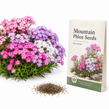 500 Mountain Phlox Seeds, Non-GMO, Native Wildflower Seeds, Vibrant Pink & Lavender Star-Shaped Perennial, Ideal for Gardens