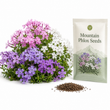1000 Mountain Phlox Seeds for Planting, Hardy, Drought Tolerant Native Flower, High-Yielding, Flowering Groundcover for Slopes, Stone Walls, and Path Borders
