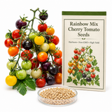 50 Rainbow Cherry Tomato Seeds, Easy to Grow, Continuous Harvest Vegetable Seeds, Perfect High-Yield Garden Crop for Pots, Containers & Trellis