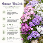 1000 Mountain Phlox Seeds for Planting, Hardy, Drought Tolerant Native Flower, High-Yielding, Flowering Groundcover for Slopes, Stone Walls, and Path Borders