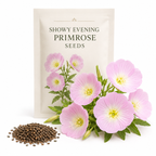 500 Showy Evening Primrose Seeds, Non GMO, Oenothera speciosa Seeds, High-Yielding, Vibrant Pink Flower Perennial, for Sun & Shade Backyard Landscape