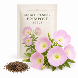 500 Showy Evening Primrose Seeds, Non GMO, Oenothera speciosa Seeds, High-Yielding, Vibrant Pink Flower Perennial, for Sun & Shade Backyard Landscape