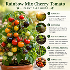 25 Rainbow Cherry Tomato Seeds, Non-GMO, Heirloom, Sweet & Juicy Multi-Color Tomatoes, Vegetable Seeds for Fresh Salads & Gardening