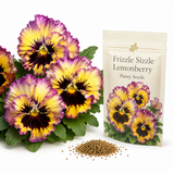 50 Frizzle Sizzle Pansy Seeds, Non-GMO, Fast Growing Rare Variety, Cold Hardy, Frost Tolerant Flower Seeds for Fall & Spring Beds