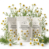 3 Packs German Chamomile Seeds for Planting (10500 Seeds), Stunning Aromatic Herb for Outdoor Gardens, Sturdy Growth with Striking Daisy-Like Blooms