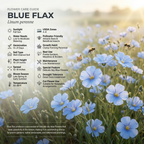 1050 Pcs Blue Flax Seeds, Cold-Hardy Plants, Grow Robust True Blue Blooms for Edging, Meadows & Outdoor Landscapes