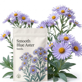 1500 Pcs Blue Aster Seeds for Planting, Stunning Cold-Hardy Non-GMO Floral Blooms for Outdoor Gardens, Sturdy Perennial Growth