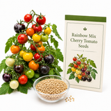25 Rainbow Cherry Tomato Seeds, Non-GMO, Heirloom, Sweet & Juicy Multi-Color Tomatoes, Vegetable Seeds for Fresh Salads & Gardening