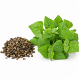 100 Pcs New Zealand Spinach Seeds for Planting, Non GMO, Heirloom, Fast Growing Vegetable Seeds, for Gardens, Pots & Containersfor Backyard Garden