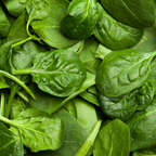 Bloomsdale Spinach Seeds for Planting, 200 Pcs, Non GMO, Easy to Grow Green Vegetables Seeds, for Backyard Garden