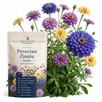 200 Blueberry Cheesecake Zinnia Seeds Mix for Planting, Heirloom, Easy to Grow, High-Yielding, Lavender Purple Cream Blooms for Stunning Summer Bouquets