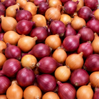 Mixed Onion Sets Red - Yellow, Heirloom, Non-GMO Onion Bulbs Plant, Easy to Grow, High Yield Vegetable Bulbs, Not Seeds