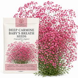 100 Pcs Carmine Baby's Breath Seeds for Planting Outdoors, Non-GMO Heirloom Flowers, Low Maintenance Pink Cloud Blooms for Yard Borders