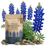 150 Pcs Texas Bluebonnet Wildflower Seeds for Planting, Cultivate Robust Upright Stalks & Bright Blue Flowers, Easy to Care Outdoor Yard Decor