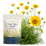 150 Pcs Tidy Tips Seeds for Planting Outdoors, Non-GMO Heirloom Wildflowers, Sturdy Low Maintenance t Blooms for Sunlit Yard Borders
